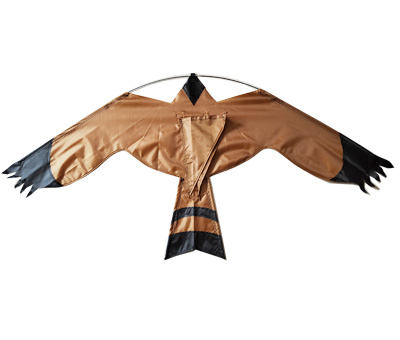 Bird Scarer Kite 2008 Apollo